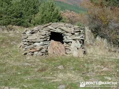 Senderismo Hayedo de Montejo (Senderismo Madrid-Senderismo Guadalajara-Senderismo Segovia)